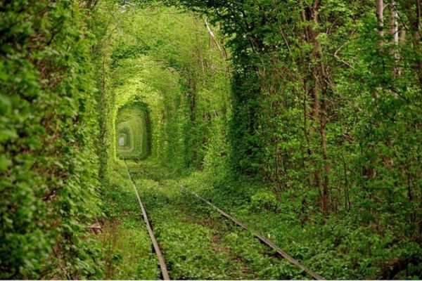 Tunnel Of Love, Klevan, Rivne Oblast, Ukraine